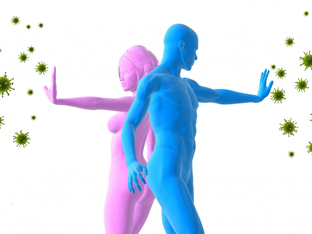 000837611-sistema-inmunitario